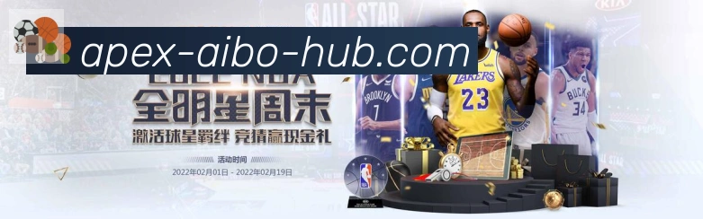 未来规划